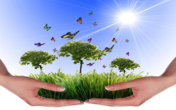 木薯渣烘干設(shè)備生產(chǎn)線結(jié)構(gòu)由哪些部分組成 木薯渣烘干設(shè)備生產(chǎn)線結(jié)構(gòu)由哪些部分組成